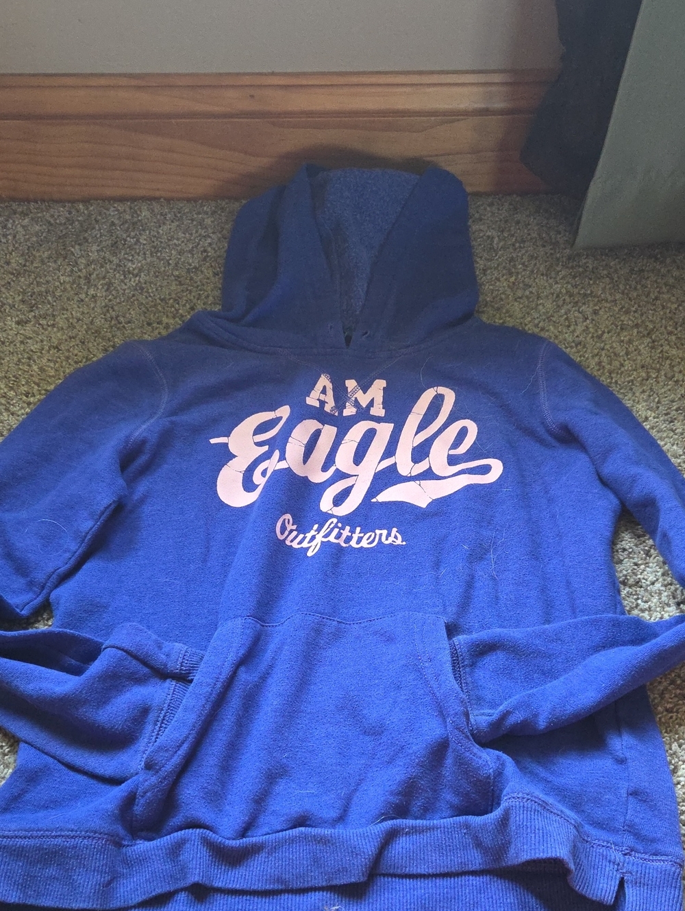 American Eagle Outfitters Royal Blue Hoodie with Light Pink Script